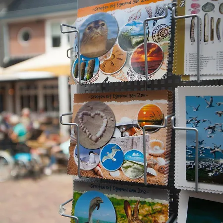 Elegant Holiday In Egmond Aan Zee Near Sea Ferienhaus *